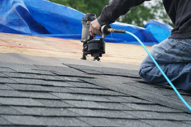 Best Shingle Roofing Installation  in College, AK