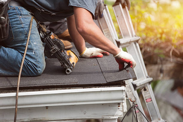 Best Emergency Roof Repair  in College, AK