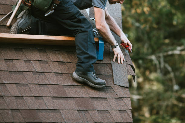 Roof Installation Near Me in College, AK